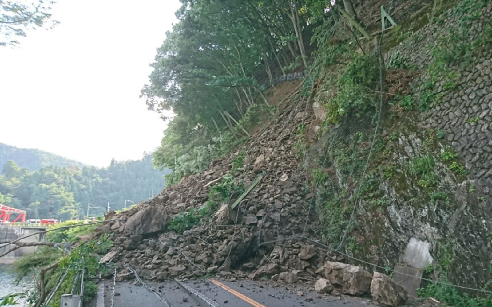衛星による山岳道路斜面の変状把握可能性の検証 イメージ画像