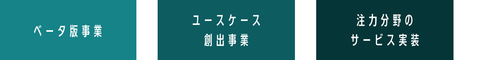 重点分野のサービス実装 概念図。ユースケース検討、β版事業、重点分野でのサービス実装の順で実装を目指す。